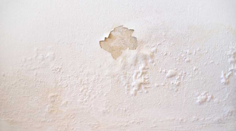 Damage on a wall showing peeling paint and moisture issues, relevant to indoor humidity management and air quality concerns.