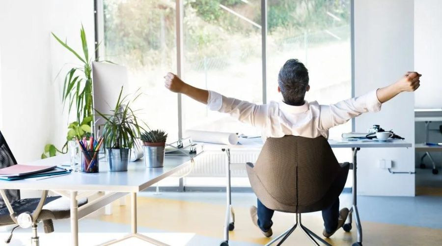 Man sitting in a modern office chair at a desk with papers, plant, and a computer monitor, featuring large windows.